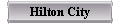  Hilton City 